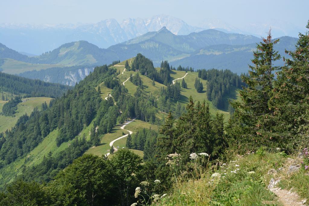 Appart Weisse Urlauben Am Wolfgangsee Sankt Gilgen Exterior photo
